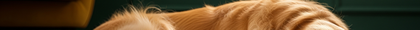 Cooling Mats for Pets in Hot Weather