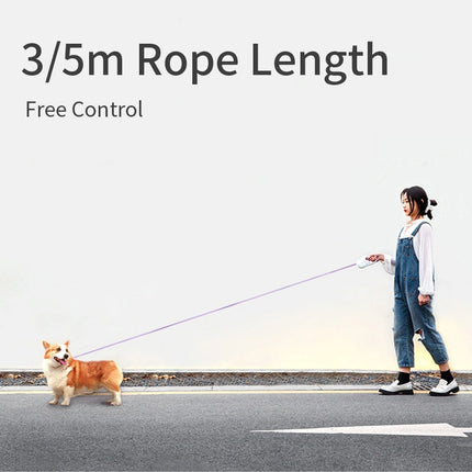 Automatic Retractable LED Dog Leash with RGB Streamer Light | Night Safety Pet Leash